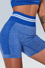 Knitted Stripe Seamless Sports Short