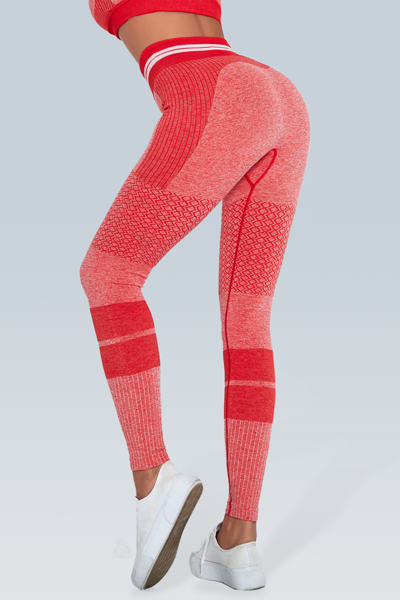 Knitted Stripe Seamless Legging