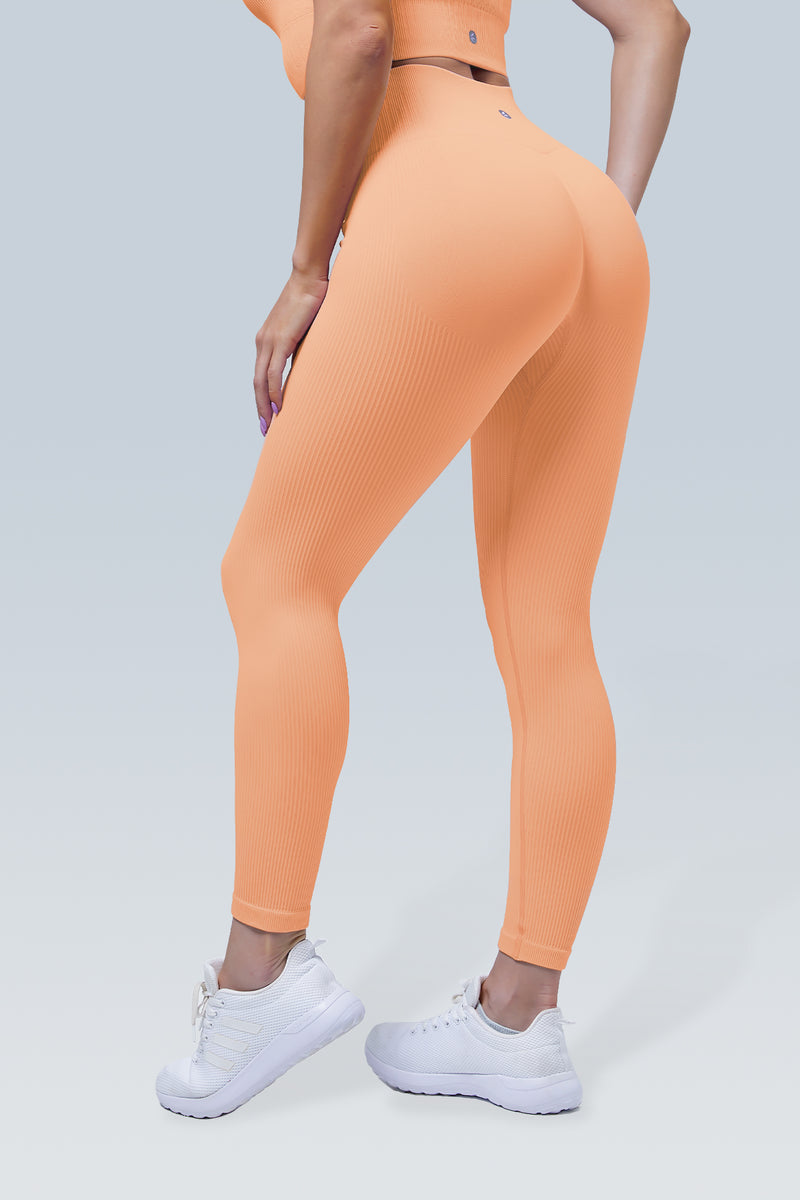 Macaron Power Ribbed Seamless Scrunch Legging